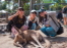 中高校生　ケアンズ留学　動物園